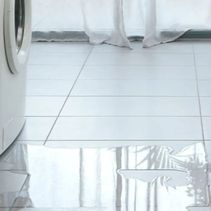 Appliance Leak Cleanup in Dickson, OK