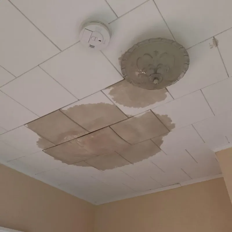 Ceiling Water Damage Repair in Dickson, OK