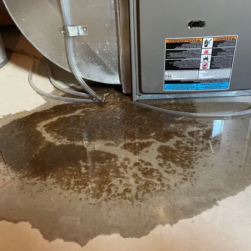 Pipe Burst and Leak Restoration in Dickson, OK
